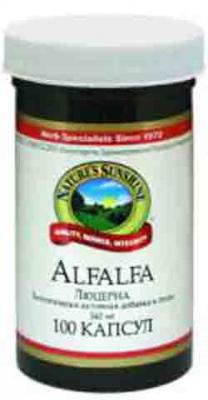 Люцерна (Альфальфа, Alfalfa, альфа альфа)