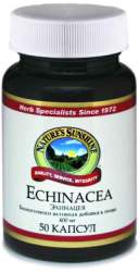 Эхинацея (Echinacea) NSP