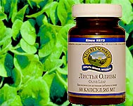 Листья оливы (Olive leaf ) NSP
